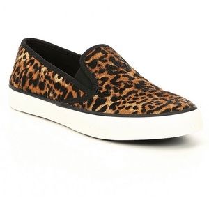 sperry seaside leopard sneaker